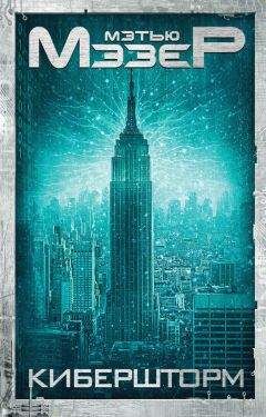 Мэтью Мэзер - Кибершторм