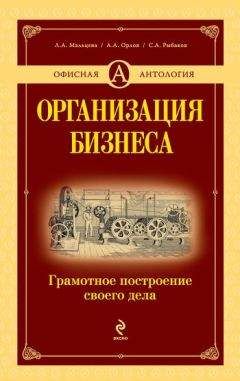 Сергей Рыбаков - Организация бизнеса: грамотное построение своего дела