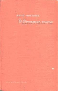 Инго Шульце - 33 мгновенья счастья. Записки немцев о приключениях в Питере