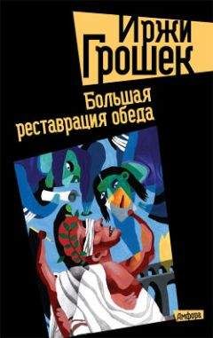 Иржи Грошек - Большая реставрация обеда