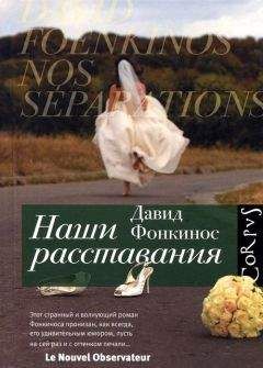 Давид Фонкинос - Наши расставания