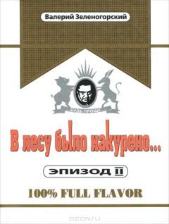 Валерий Зеленогорский - В лесу было накурено