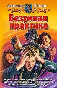 Александр Попов - Безумная практика