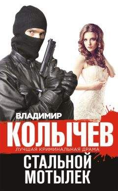 Владимир Колычев - Стальной мотылек