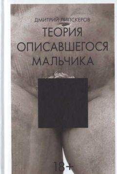 Дмитрий Липскеров - Теория описавшегося мальчика