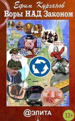 Ефим Курганов - Воры над законом, или Дело Политковского