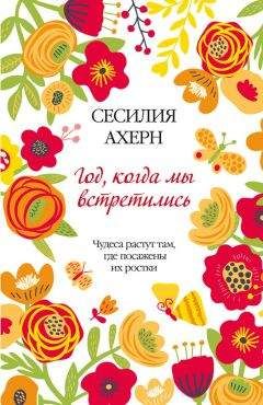 Сесилия Ахерн - Год, когда мы встретились