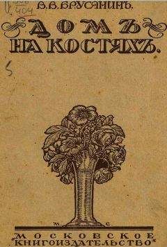 Василий Брусянин - Убитая чайка