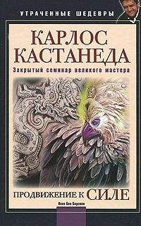 Яков Бирсави - Карлос Кастанеда. Закрытый семинар великого мастера. Продвижение к Силе
