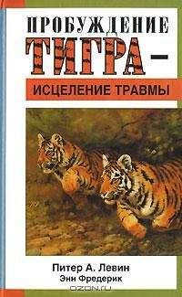 Питер Левин - Пробуждение тигра - исцеление травмы