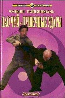 Чжанюань Ван - Паочуй-пушечные удары