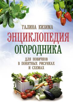 Галина Кизима - Энциклопедия огородника для новичков в понятных рисунках и схемах. Увидел – повтори