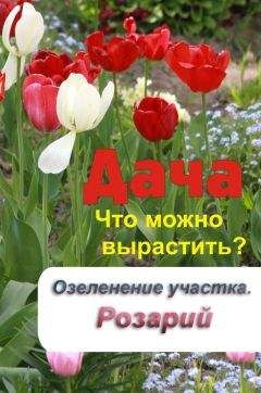 Илья Мельников - Что можно вырастить? Озеленение участка. Розарий