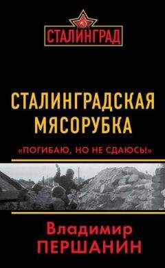 Владимир Першанин - Сталинградская мясорубка. «Погибаю, но не сдаюсь!»
