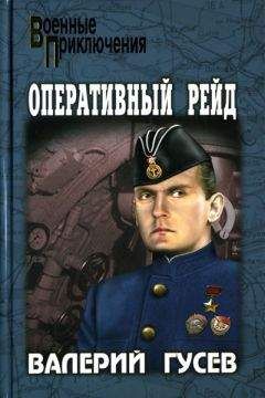 Валерий Гусев - Оперативный рейд