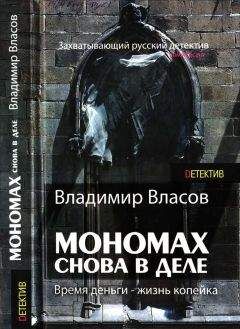 Владимир Власов - Мономах. Снова в деле
