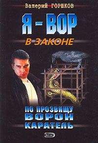 Валерий Горшков - Каратель