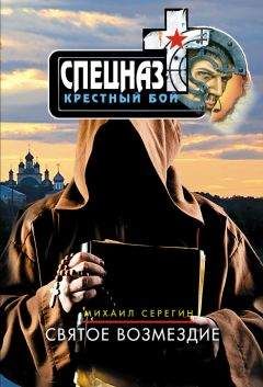 Михаил Серегин - Святое возмездие