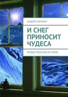 Литагент «Ридеро» - И снег приносит чудеса