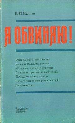 Владимир Беляев - Я обвиняю!