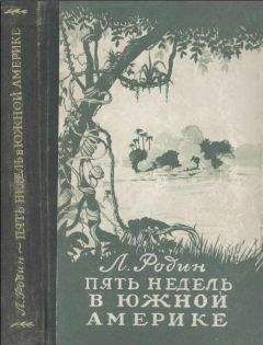 Леонид Родин - Пять недель в Южной Америке
