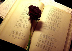 Мгновения. Сборник стихов (СИ) - Апанасович Вера Юрьевна "Tanyeri"