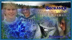 Васильки (СИ) - Смирнова Наталья