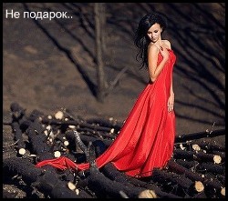 Не подарок (СИ) - "Шеол"