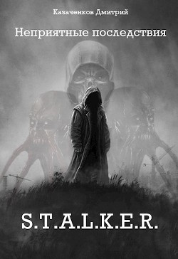 Неприятные последствия (СИ) - Казаченков Дмитрий