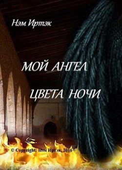 Мой ангел цвета ночи (СИ) - Нэм Иртэк