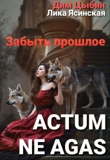 Actum ne agas. Забыть прошлое  - Ясинская Лика