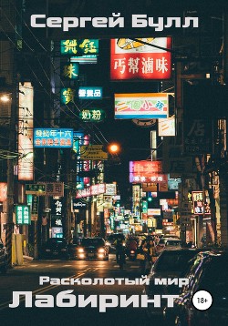 Расколотый мир. Лабиринт  - Булл Сергей