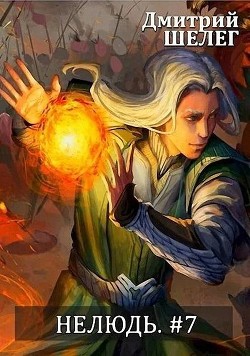 Н 7  - Шелег Дмитрий Витальевич