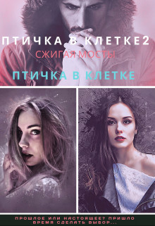 Птичка в клетке 2  - Илина Дина