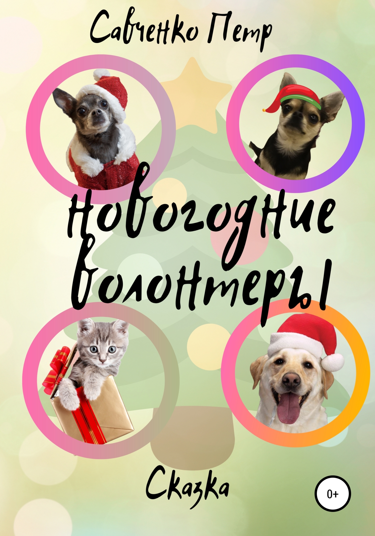 Новогодние волонтеры - Петр Петрович Савченко