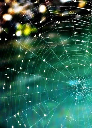 В паутине моей души - Конорева Вероника