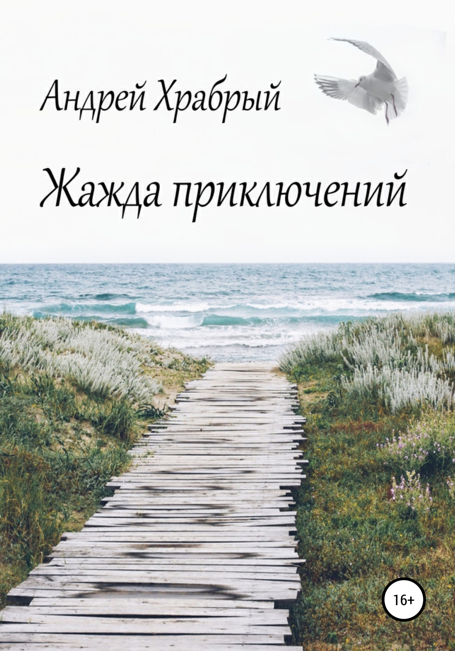 Жажда приключений - Андрей Андреевич Храбрый