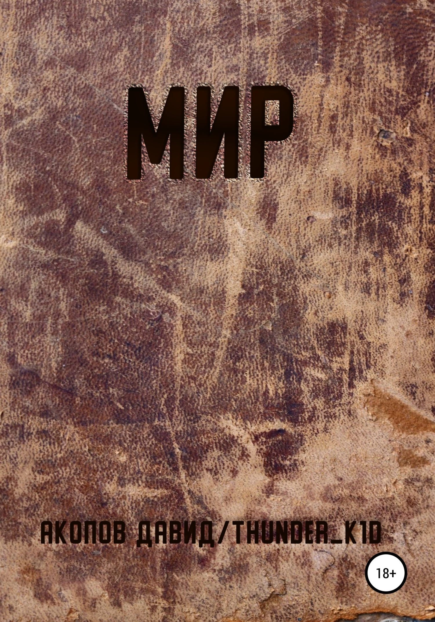 Мир - Давид Thunder_k1d Акопов