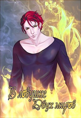 В ловушке двух миров  - Селина Розмарин