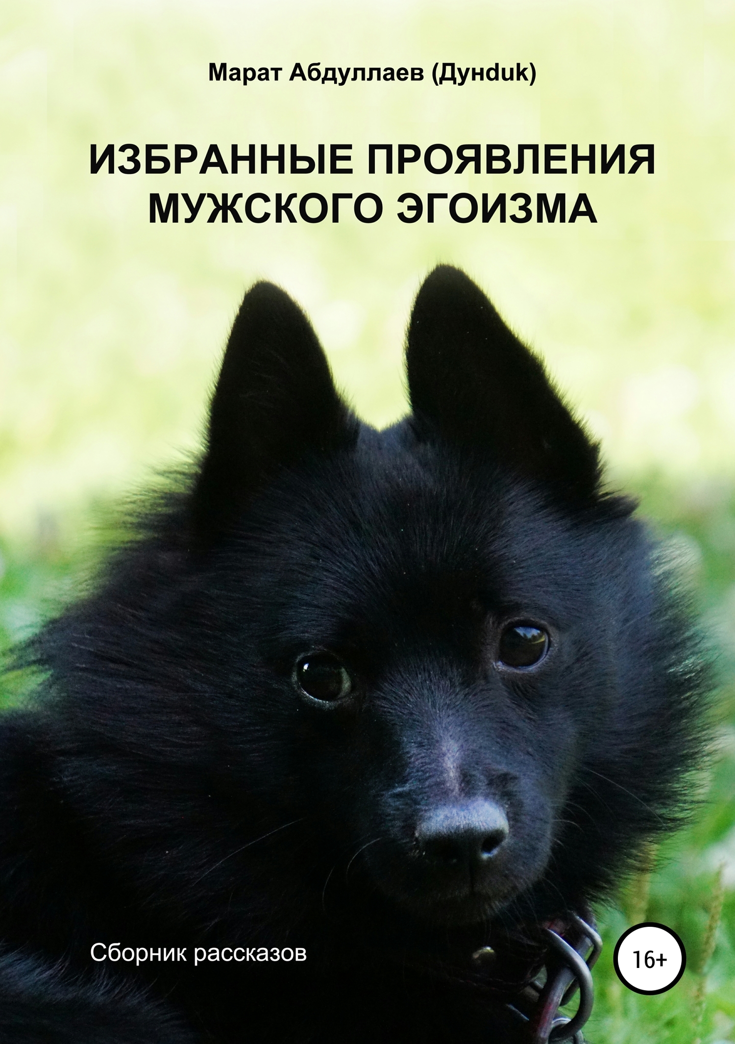 Избранные проявления мужского эгоизма. Сборник рассказов - Марат Абдуллаев