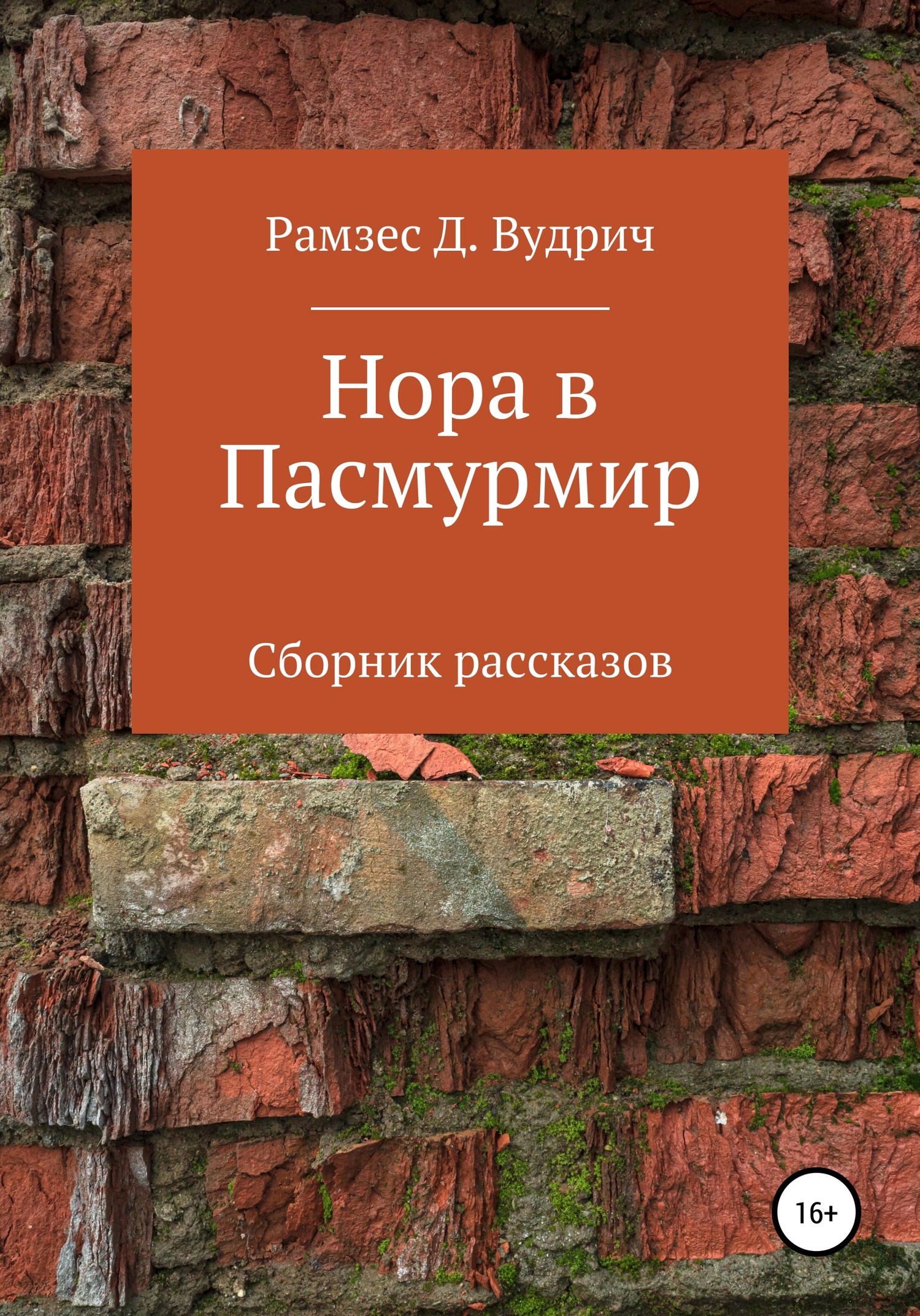 Нора в Пасмурмир. Сборник рассказов - Рамзес Д. Вудрич