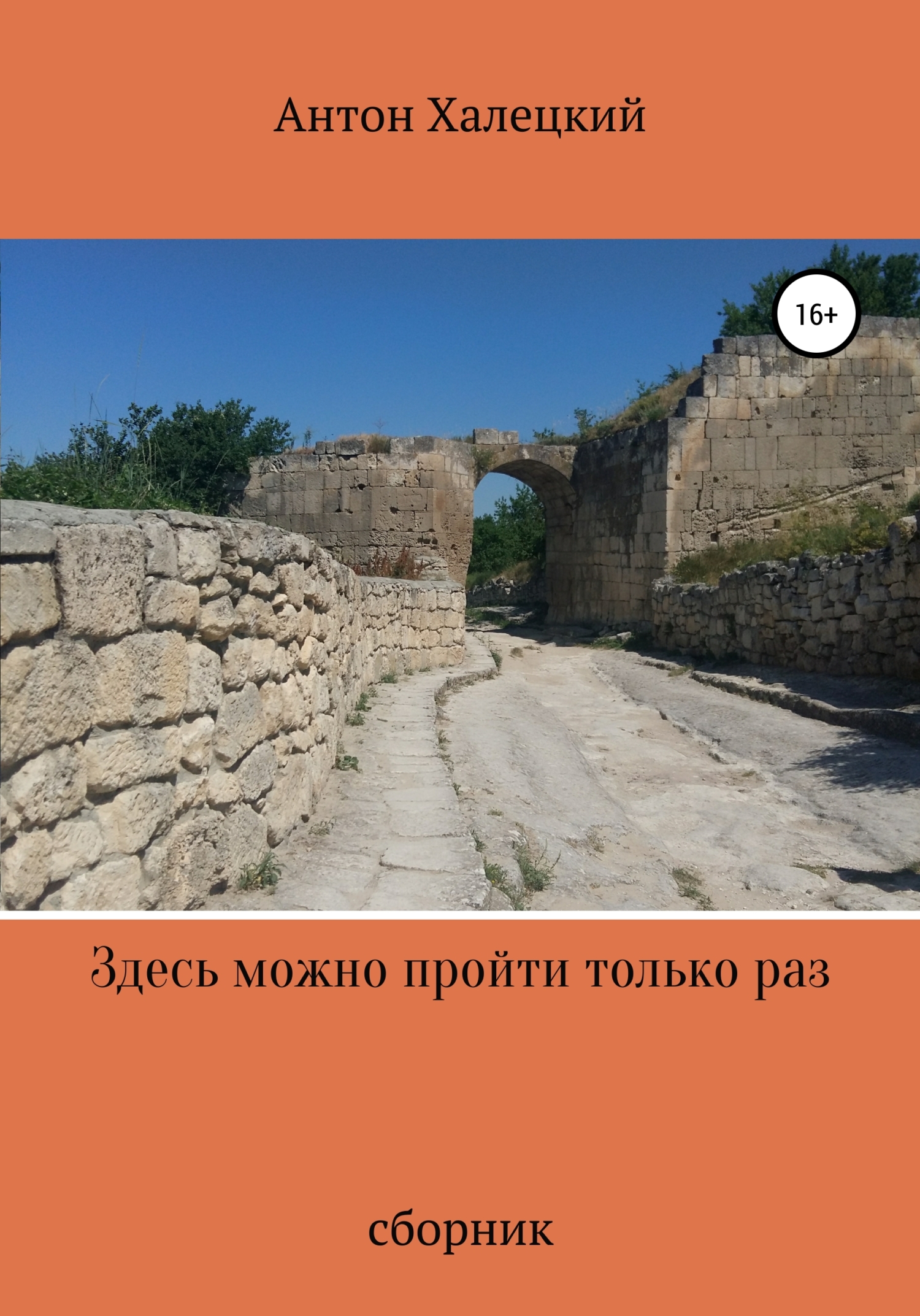 Здесь можно пройти только раз - Антон Халецкий