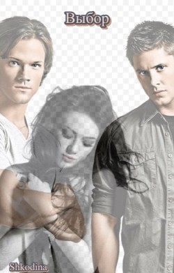 Выбор  - "Shkodina"