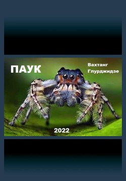 Паук  - Глурджидзе Вахтанг "Вахо Глу"