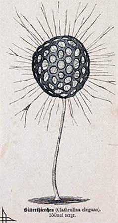 Пикалка - Леонид Каганов