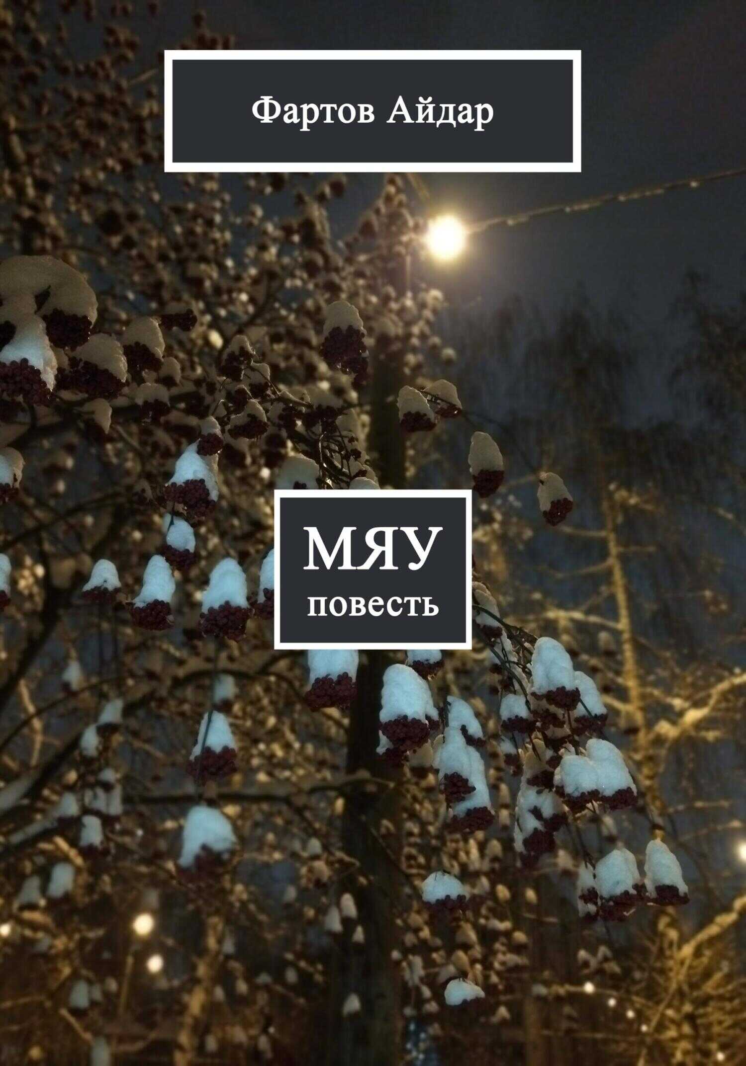 Мяу - Айдар Табрисович Фартов