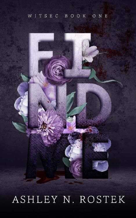 Найди меня - Эшли Н. Ростек