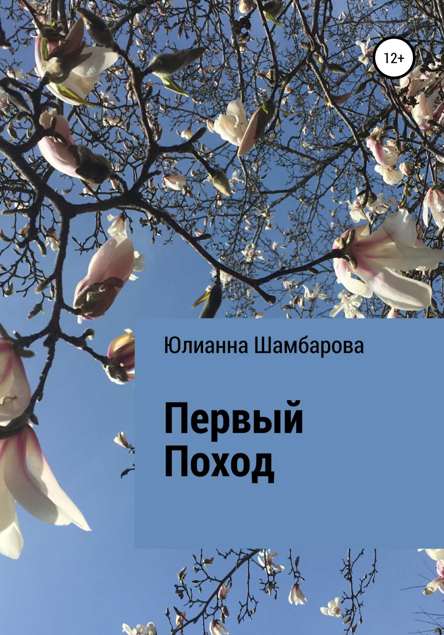 Первый поход - Юлианна Шамбарова