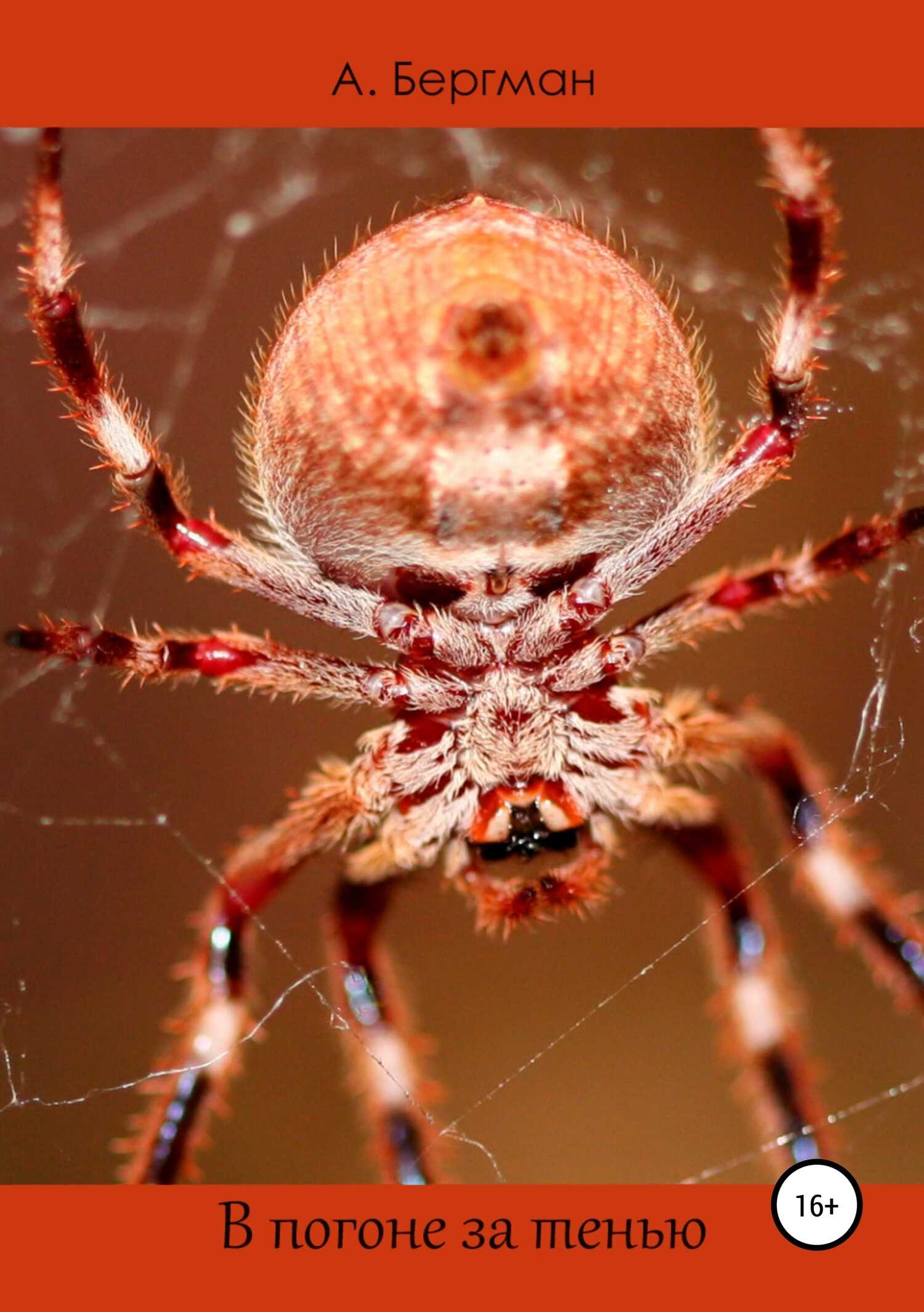 В погоне за тенью - Александр Бергман