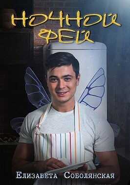 Ночной фей - Елизавета Владимировна Соболянская
